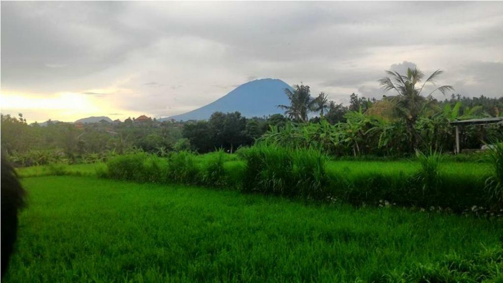 Pondok Intaran Karangasem Kültér fotó